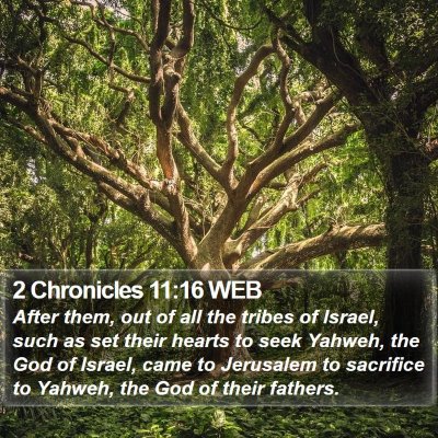 2 Chronicles 11:16 WEB Bible Verse Image