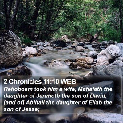 2 Chronicles 11:18 WEB Bible Verse Image