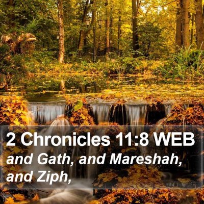 2 Chronicles 11:8 WEB Bible Verse Image
