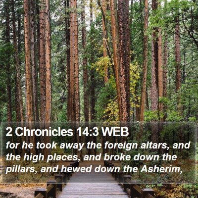 2 Chronicles 14:3 WEB Bible Verse Image