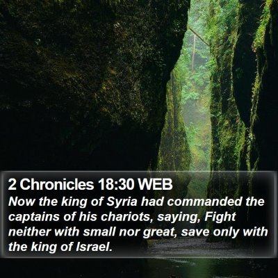 2 Chronicles 18:30 WEB Bible Verse Image