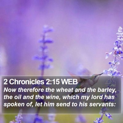2 Chronicles 2:15 WEB Bible Verse Image