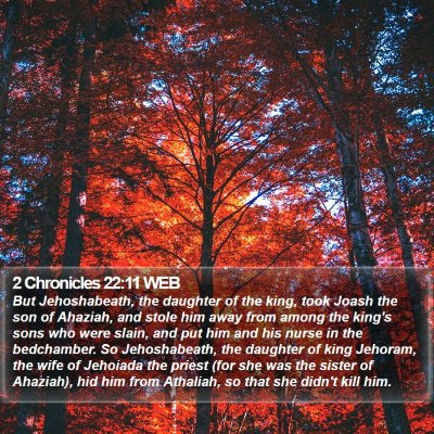 2 Chronicles 22:11 WEB Bible Verse Image
