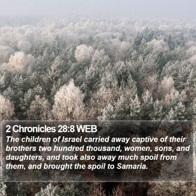 2 Chronicles 28:8 WEB Bible Verse Image
