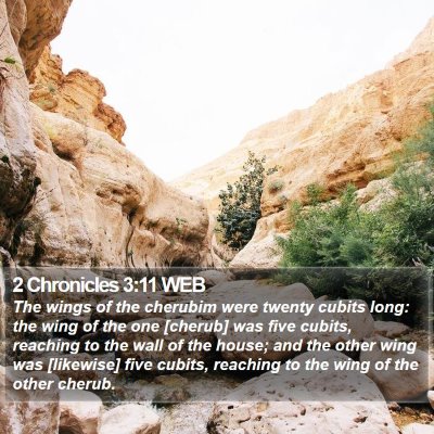 2 Chronicles 3:11 WEB Bible Verse Image