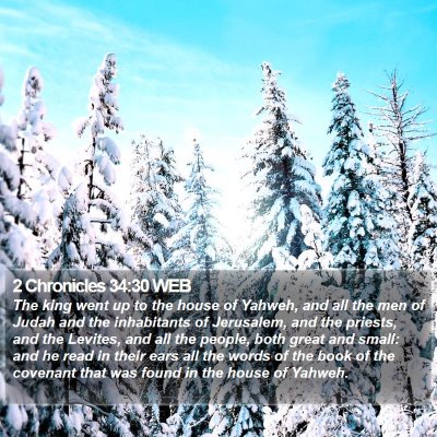 2 Chronicles 34:30 WEB Bible Verse Image