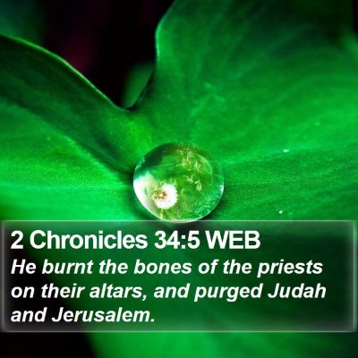 2 Chronicles 34:5 WEB Bible Verse Image