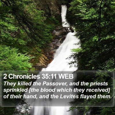 2 Chronicles 35:11 WEB Bible Verse Image