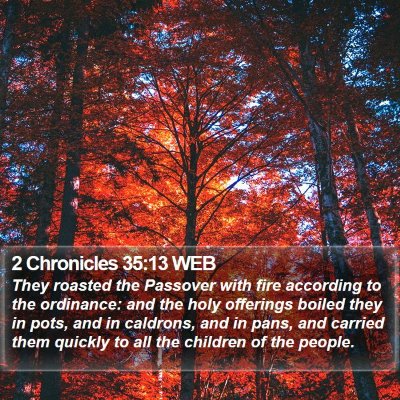 2 Chronicles 35:13 WEB Bible Verse Image