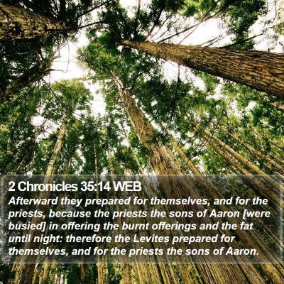 2 Chronicles 35:14 WEB Bible Verse Image