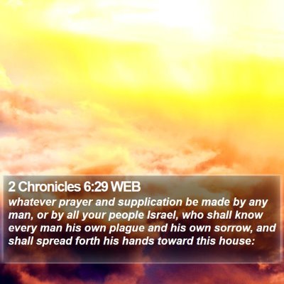 2 Chronicles 6:29 WEB Bible Verse Image