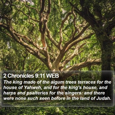 2 Chronicles 9:11 WEB Bible Verse Image