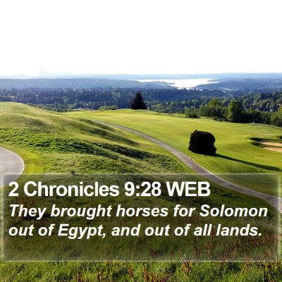 2 Chronicles 9:28 WEB Bible Verse Image