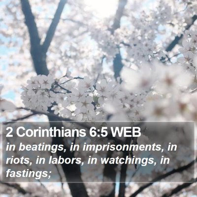 2 Corinthians 6:5 WEB Bible Verse Image