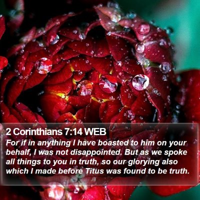 2 Corinthians 7:14 WEB Bible Verse Image