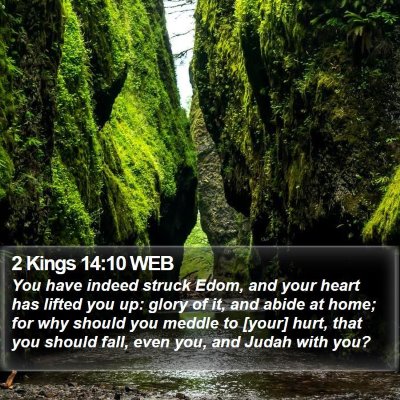 2 Kings 14:10 WEB Bible Verse Image