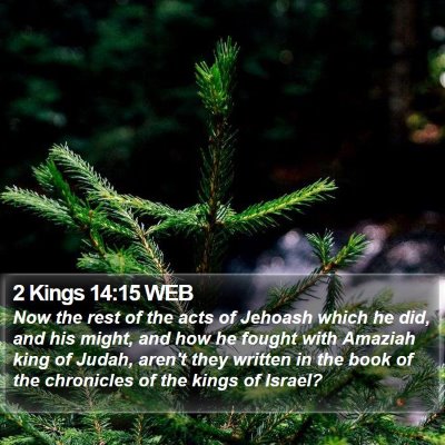 2 Kings 14:15 WEB Bible Verse Image
