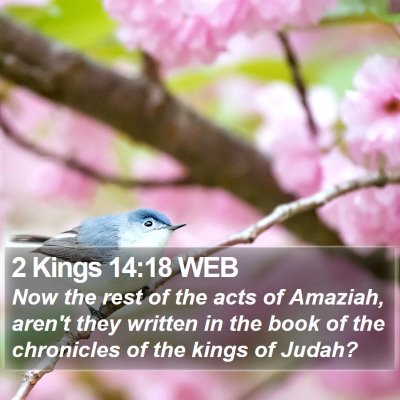 2 Kings 14:18 WEB Bible Verse Image