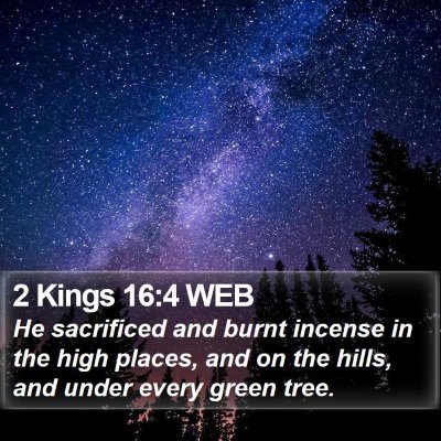 2 Kings 16:4 WEB Bible Verse Image