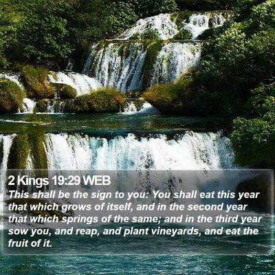 2 Kings 19:29 WEB Bible Verse Image