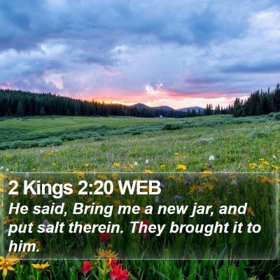 2 Kings 2:20 WEB Bible Verse Image