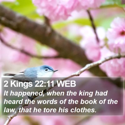 2 Kings 22:11 WEB Bible Verse Image