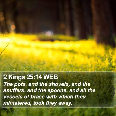 2 Kings 25:14 WEB Bible Verse Image