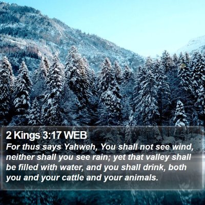 2 Kings 3:17 WEB Bible Verse Image