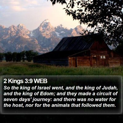 2 Kings 3:9 WEB Bible Verse Image