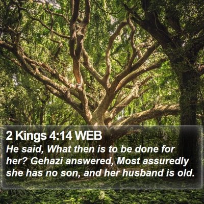 2 Kings 4:14 WEB Bible Verse Image