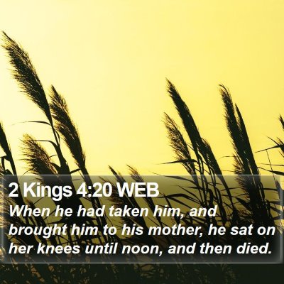 2 Kings 4:20 WEB Bible Verse Image