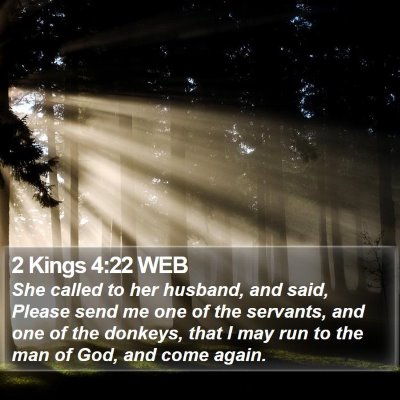 2 Kings 4:22 WEB Bible Verse Image
