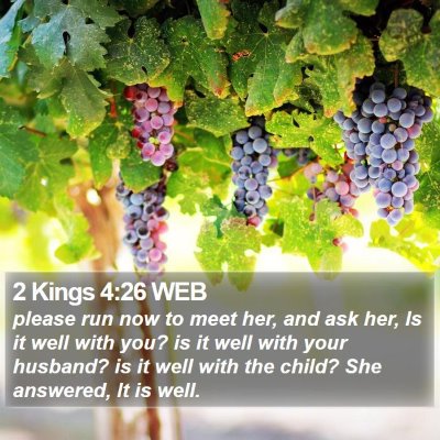 2 Kings 4:26 WEB Bible Verse Image
