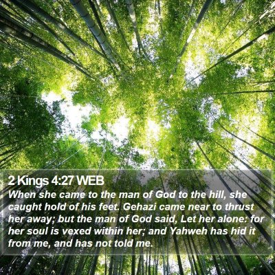 2 Kings 4:27 WEB Bible Verse Image