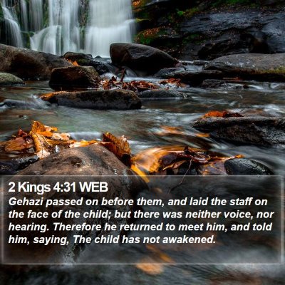 2 Kings 4:31 WEB Bible Verse Image
