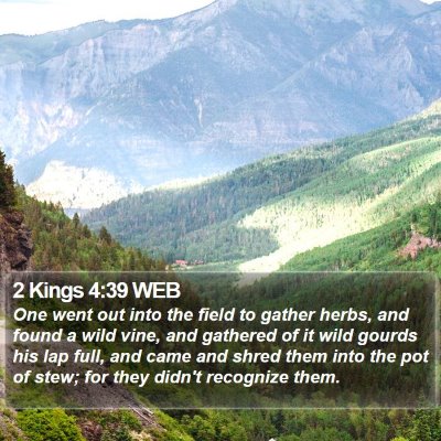 2 Kings 4:39 WEB Bible Verse Image