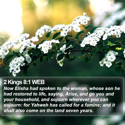 2 Kings 8:1 WEB Bible Verse Image