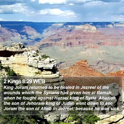 2 Kings 8:29 WEB Bible Verse Image