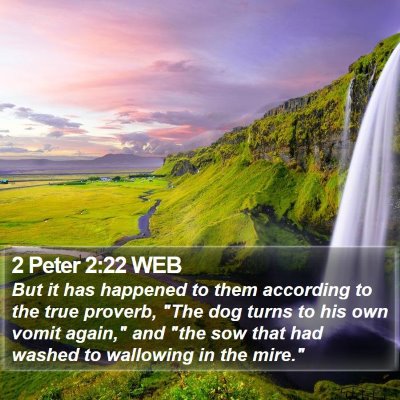 2 Peter 2:22 WEB Bible Verse Image