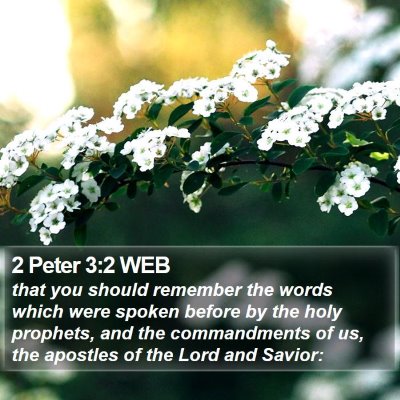2 Peter 3:2 WEB Bible Verse Image