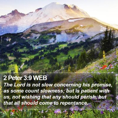 2 Peter 3:9 WEB Bible Verse Image