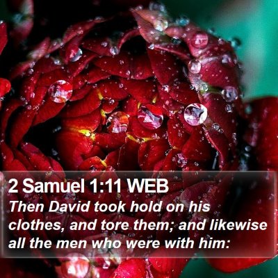 2 Samuel 1:11 WEB Bible Verse Image