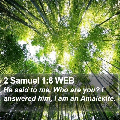 2 Samuel 1:8 WEB Bible Verse Image