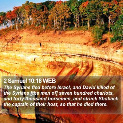 2 Samuel 10:18 WEB Bible Verse Image