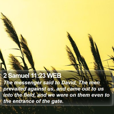 2 Samuel 11:23 WEB Bible Verse Image