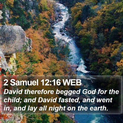 2 Samuel 12:16 WEB Bible Verse Image