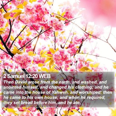 2 Samuel 12:20 WEB Bible Verse Image