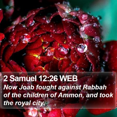 2 Samuel 12:26 WEB Bible Verse Image