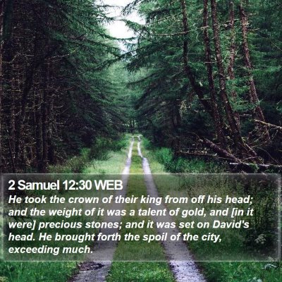 2 Samuel 12:30 WEB Bible Verse Image