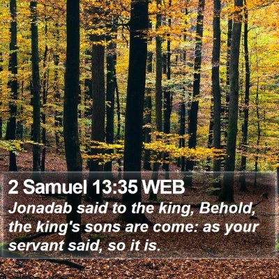 2 Samuel 13:35 WEB Bible Verse Image
